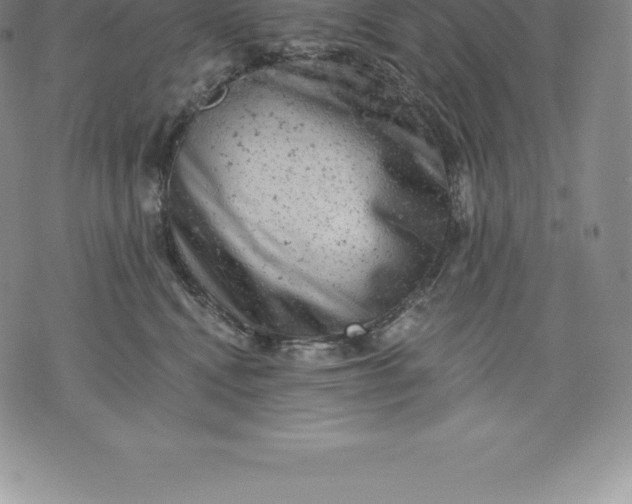 X0000076300472200610161558