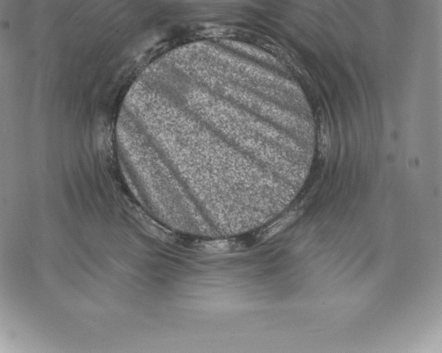 X0000076300473200610161558