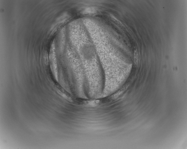 X0000076300474200610161558