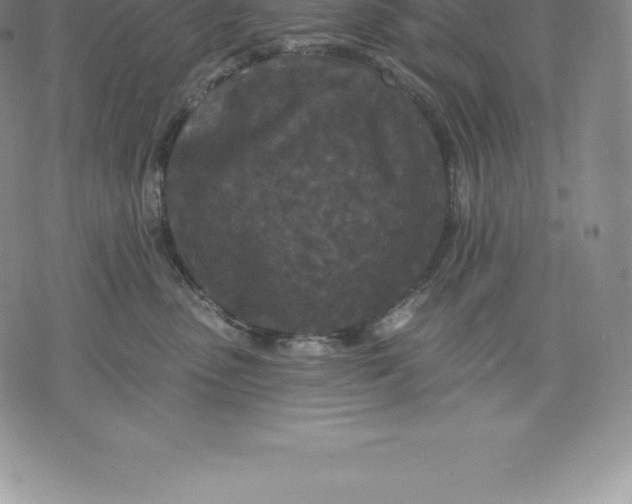 X0000076300475200610161558