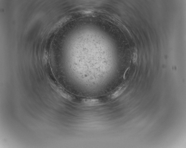 X0000076300476200610161558