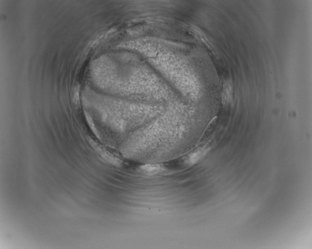 X0000076300477200610161558