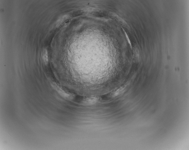 X0000076300479200610161558