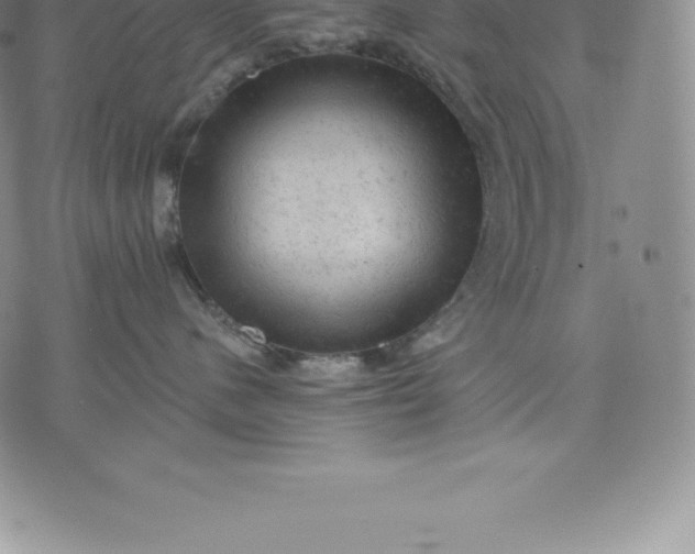 X0000076300480200610161558