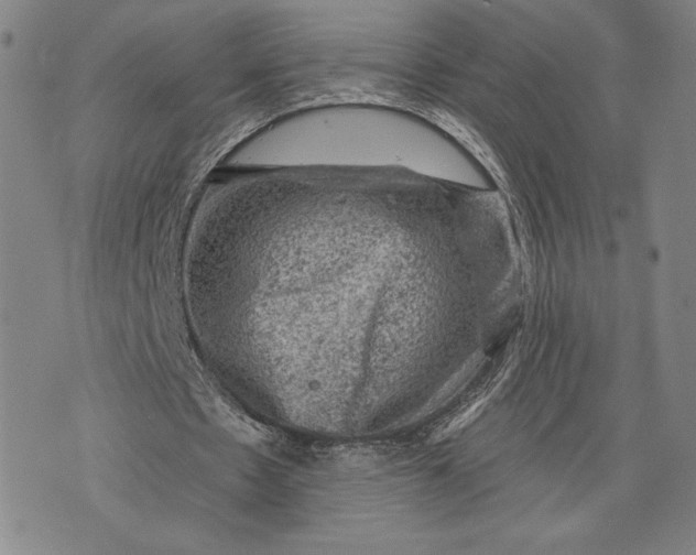 X0000076300481200610161557