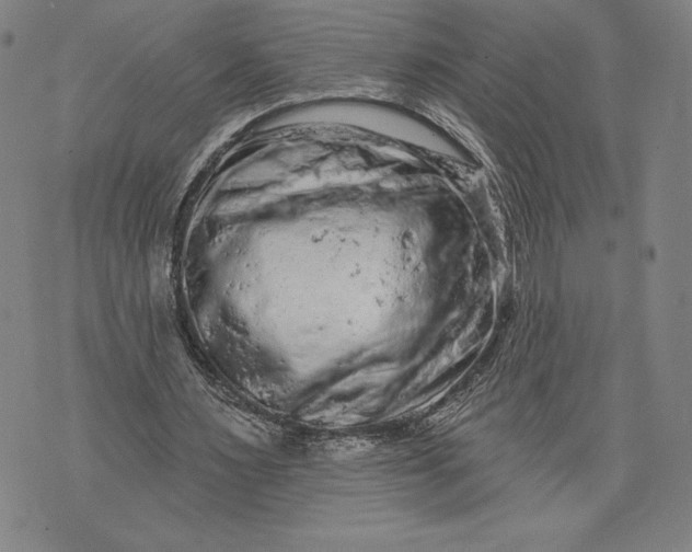 X0000076300483200610161557