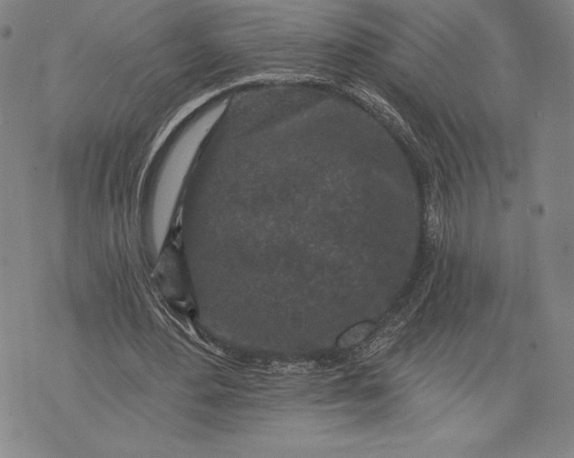 X0000076300484200610161557