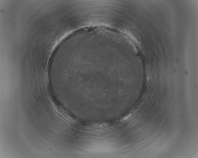 X0000076300488200610161557