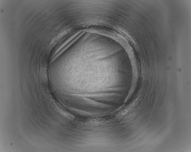 X0000076300489200610161557