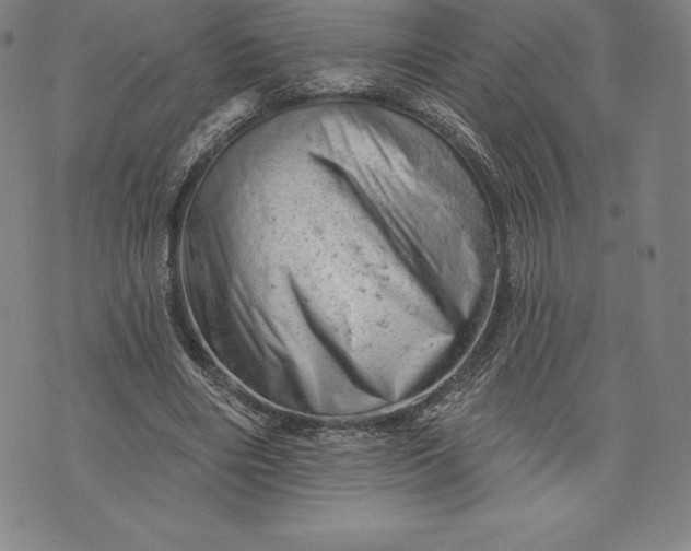 X0000076300490200610161557