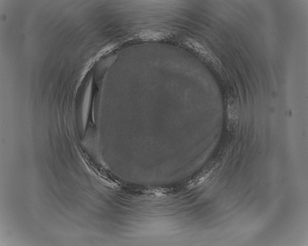 X0000076300492200610161557