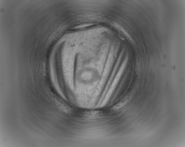 X0000076300497200610161557