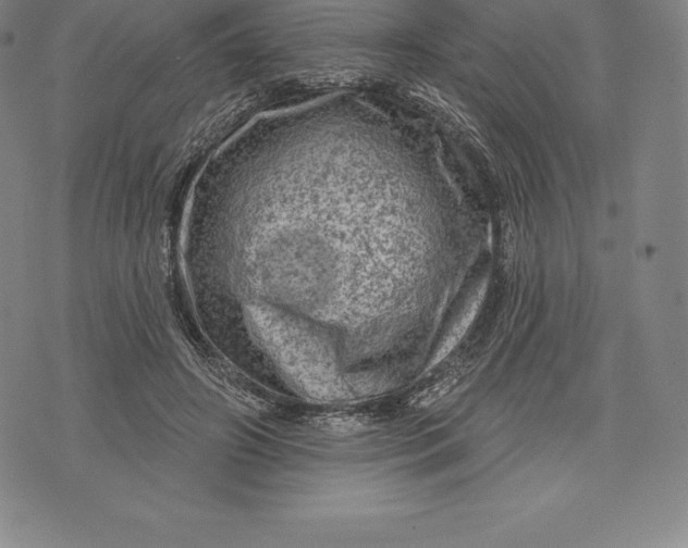 X0000076300498200610161557