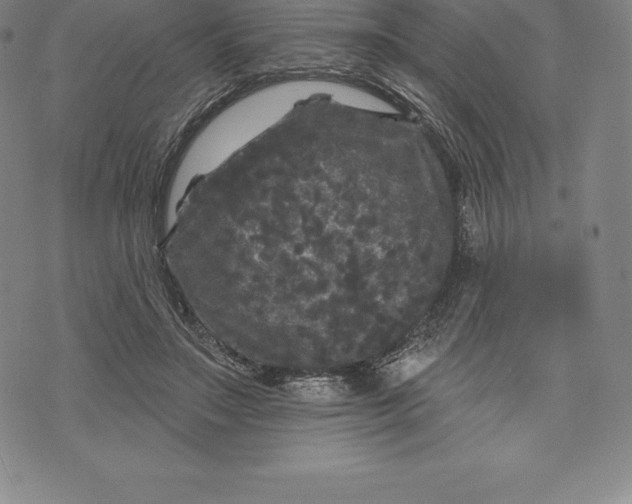 X0000076300499200610161557