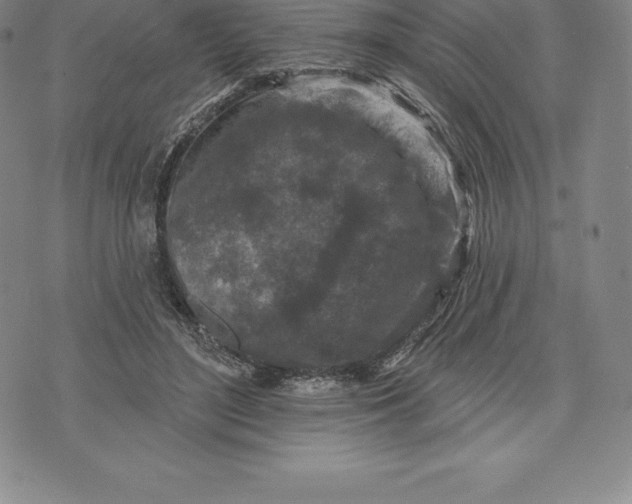 X0000076300500200610161557