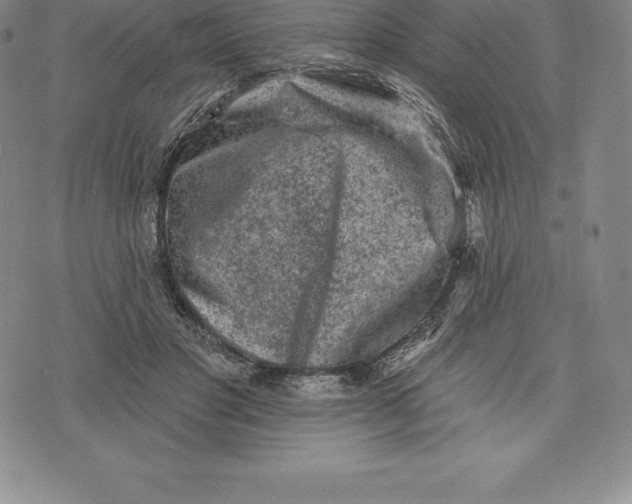 X0000076300501200610161557