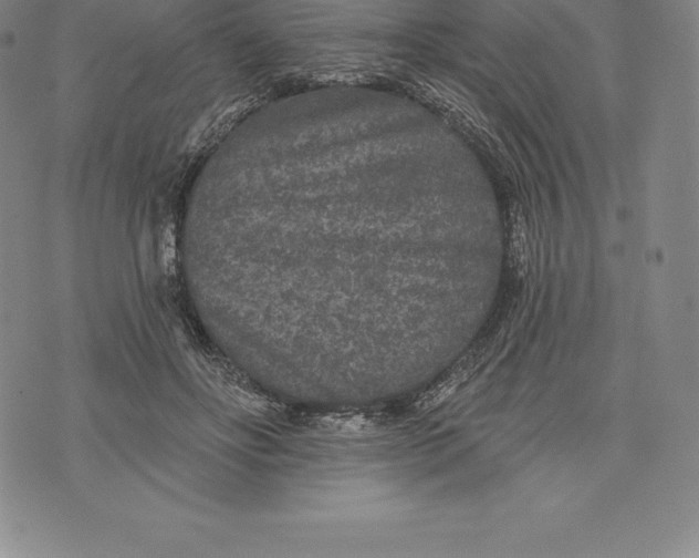 X0000076300502200610161557