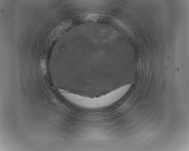 X0000076300504200610161557