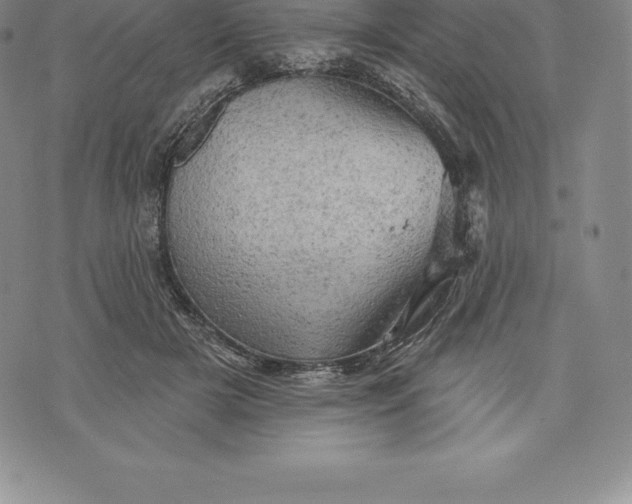 X0000076300505200610161557