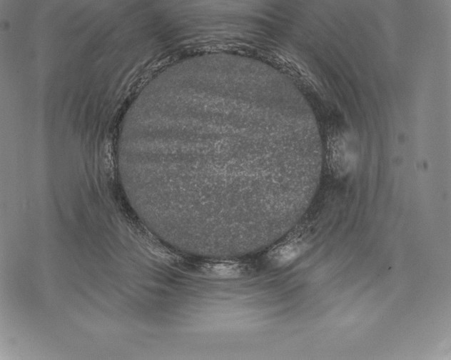 X0000076300506200610161557