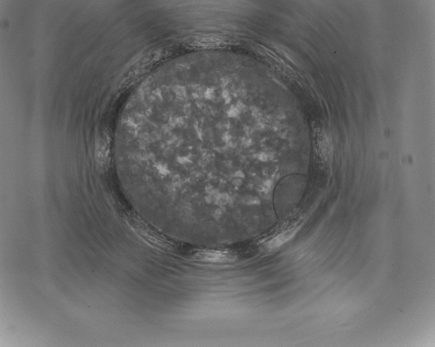 X0000076300507200610161557