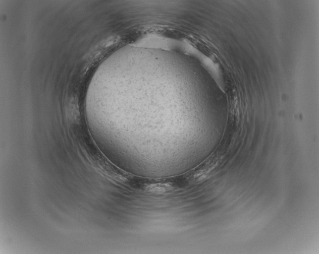 X0000076300508200610161557