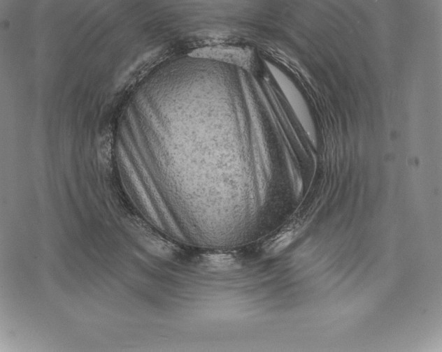 X0000076300509200610161557