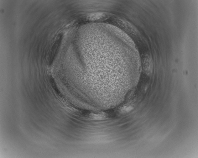 X0000076300510200610161557