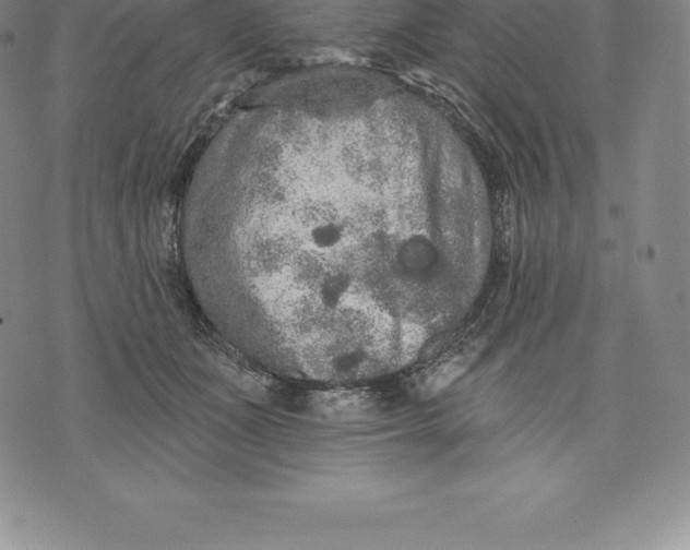 X0000076300511200610161557