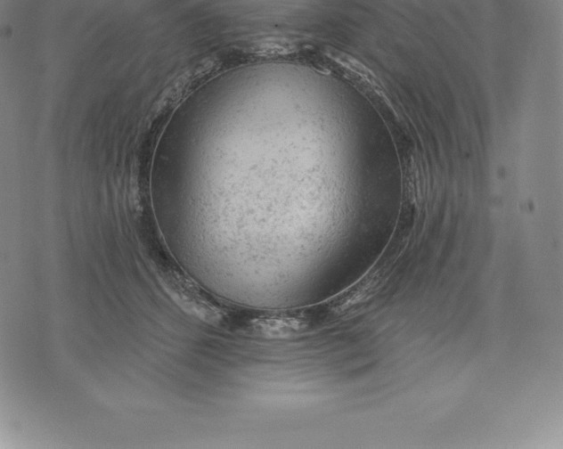 X0000076300512200610161557