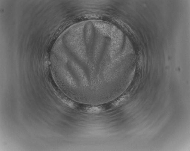 X0000076300513200610161557