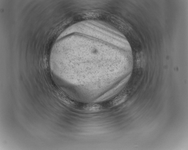 X0000076300514200610161557