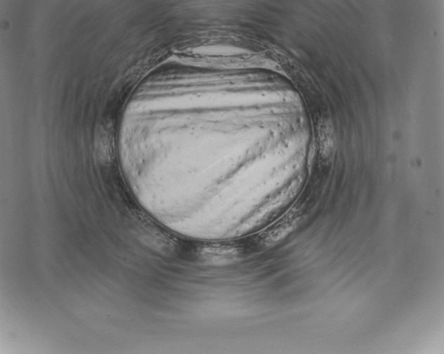 X0000076300515200610161557