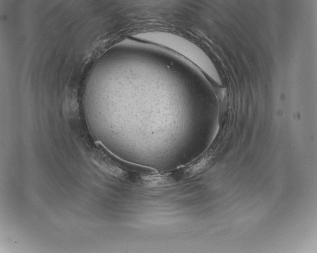 X0000076300516200610161557