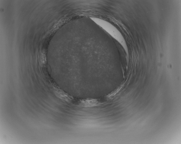 X0000076300517200610161557