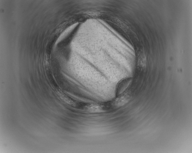 X0000076300518200610161557