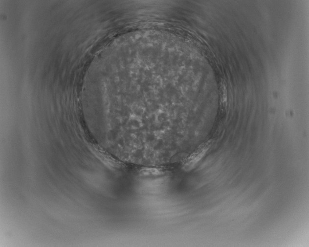 X0000076300519200610161557