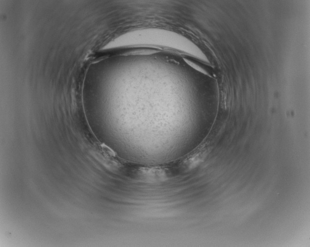 X0000076300520200610161557