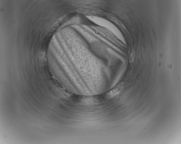 X0000076300521200610161557