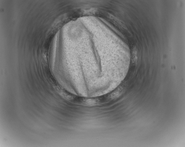 X0000076300522200610161557