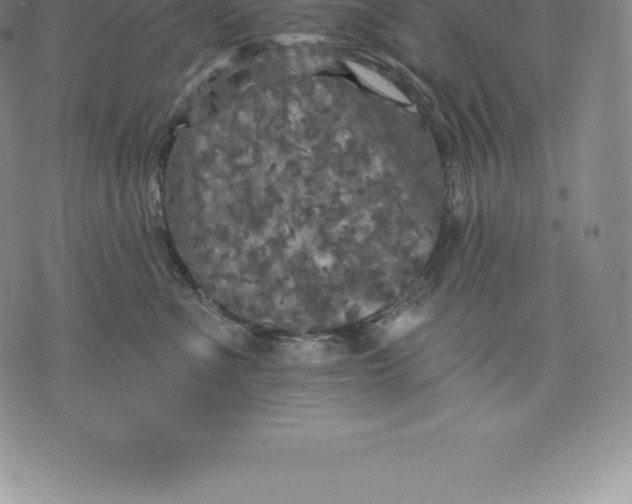 X0000076300523200610161557