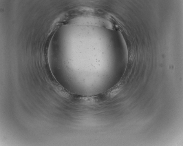 X0000076300524200610161556