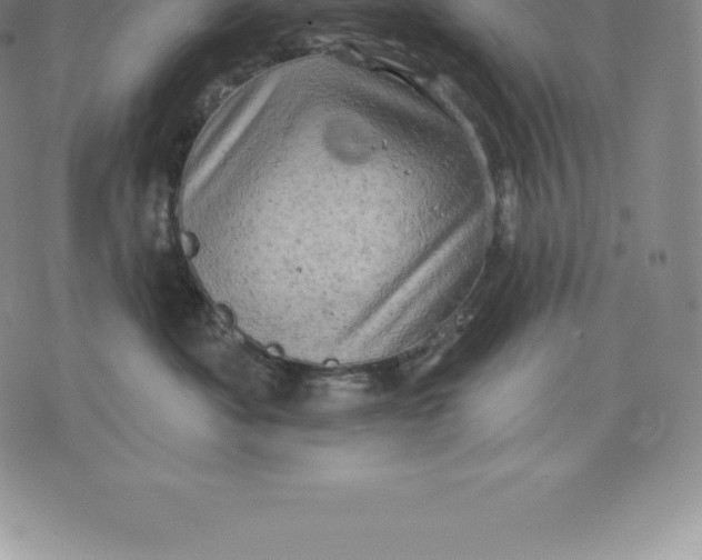 X0000076300525200610161556