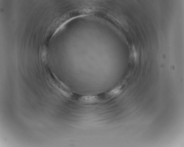 X0000076300526200610161556