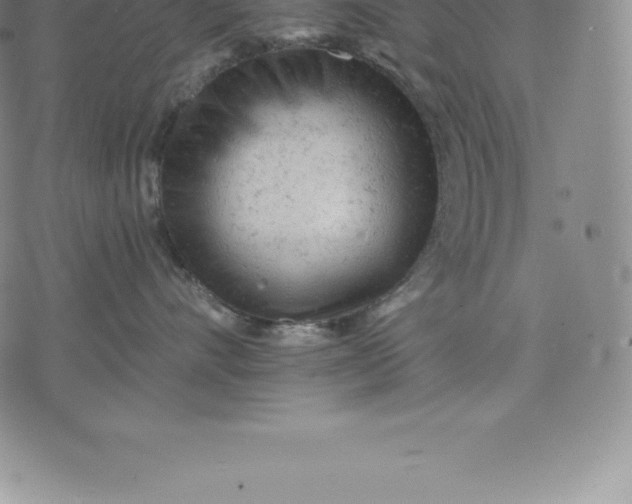 X0000076300528200610161556