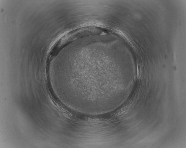 X0000076300531200610161556