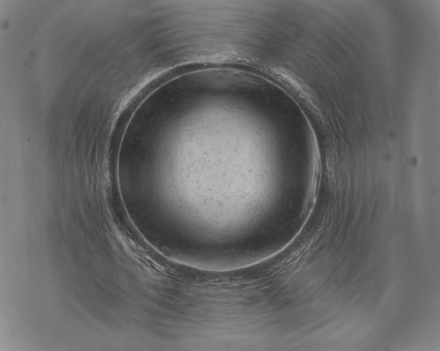 X0000076300532200610161556