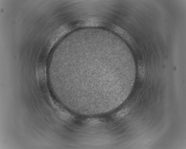 X0000076300534200610161556