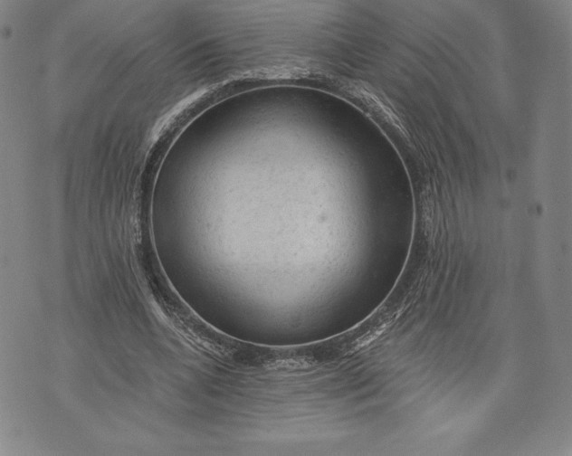 X0000076300536200610161556