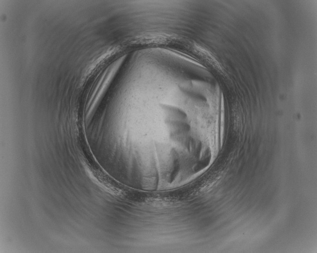 X0000076300538200610161556